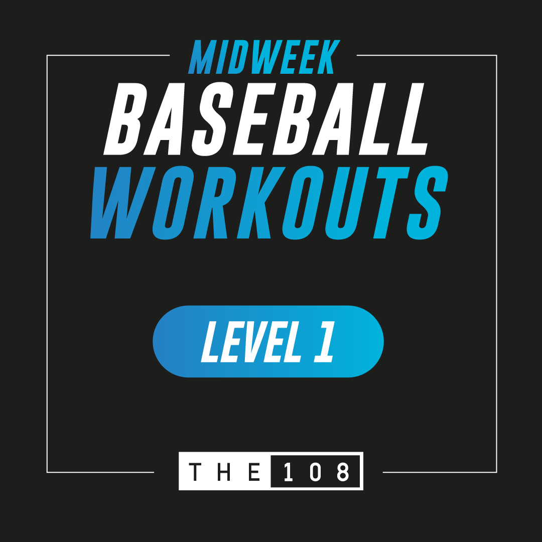 Baseball Workout - Adult